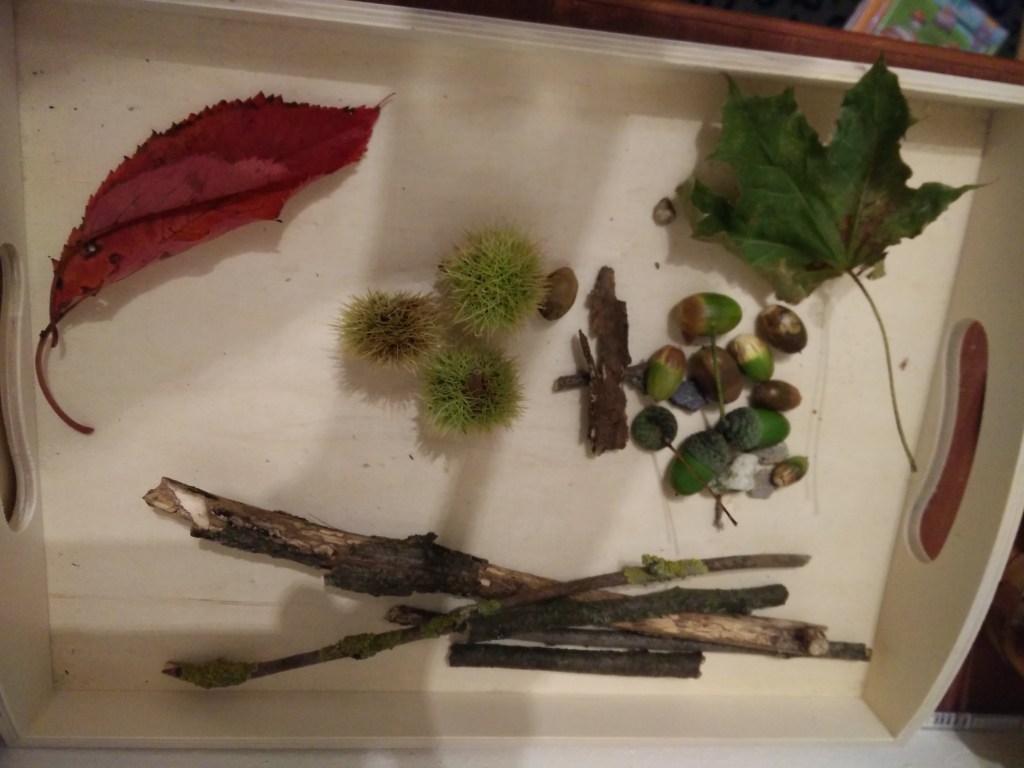 9 Tipps zur Freizeitgestaltung mit&nbsp;Kindern