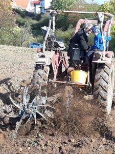 der Roder beim Ausbuddeln der Kartoffeln