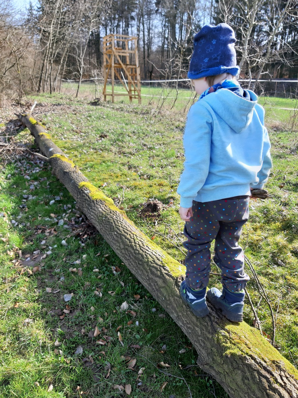 Mit Kindern den Wald&nbsp;erleben