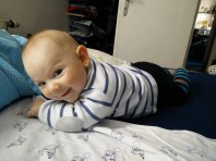 Bewegungsentwicklung