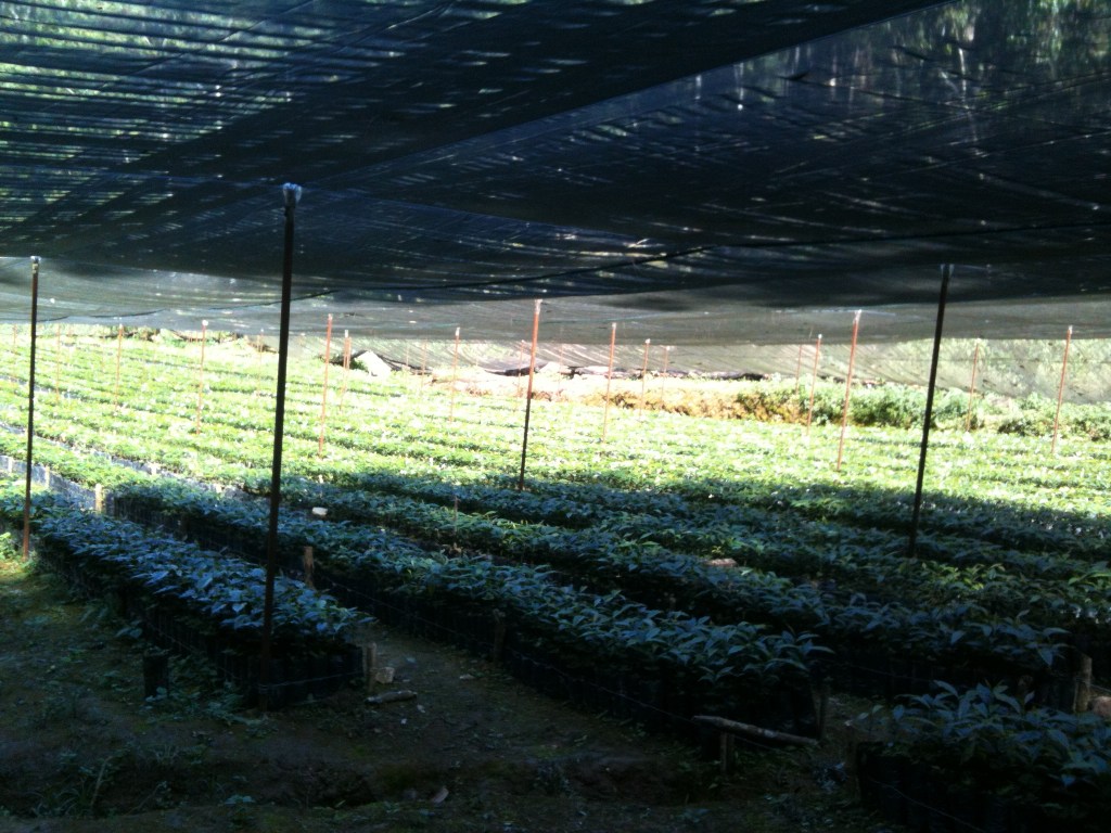 Die Situation der Kleinbauern Perus in der Corona –&nbsp;Krise