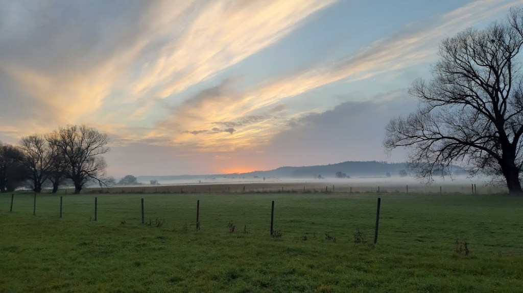 Ein Grund zum Feiern – Warum das Leben selbst gefeiert werden&nbsp;sollte