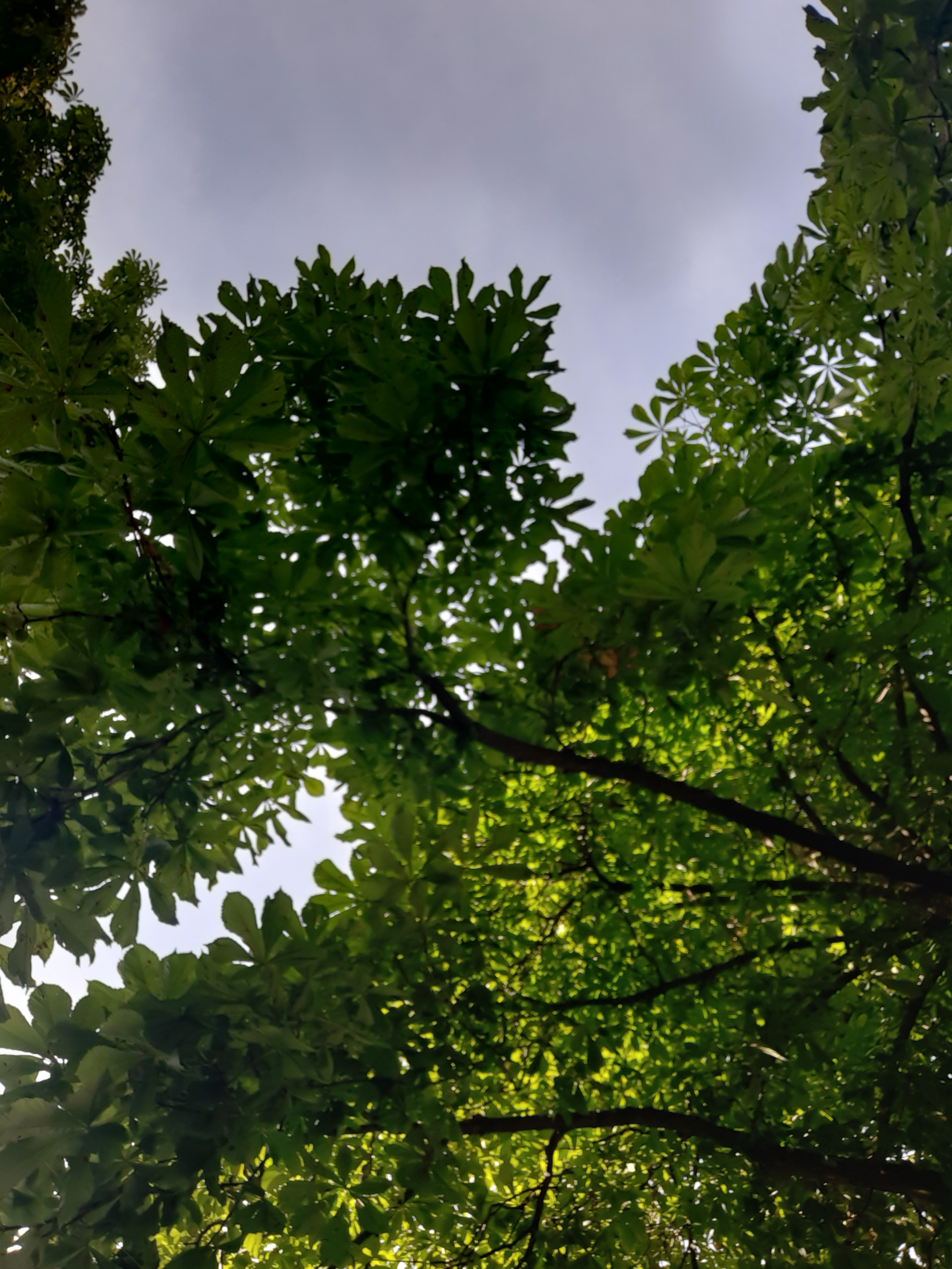 20220712_1833118066960759045659946