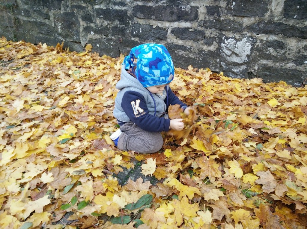 Der Baum wirft im Herbst die Blätter&nbsp;ab