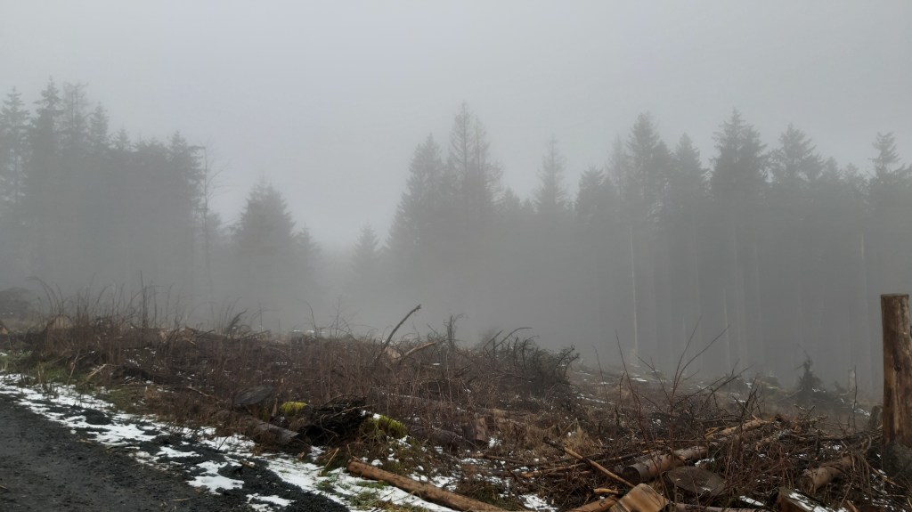 12 von 12 im März 2023: kochen, backen und&nbsp;Natur