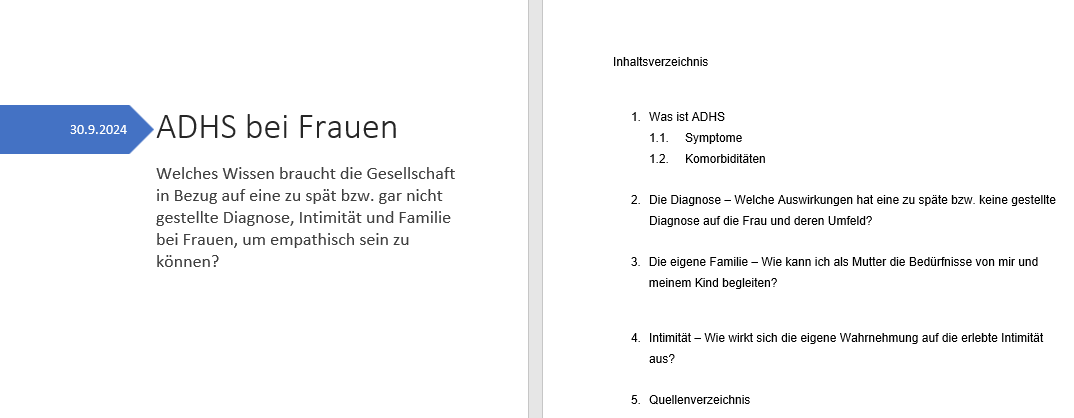 Screenshot Facharbeit