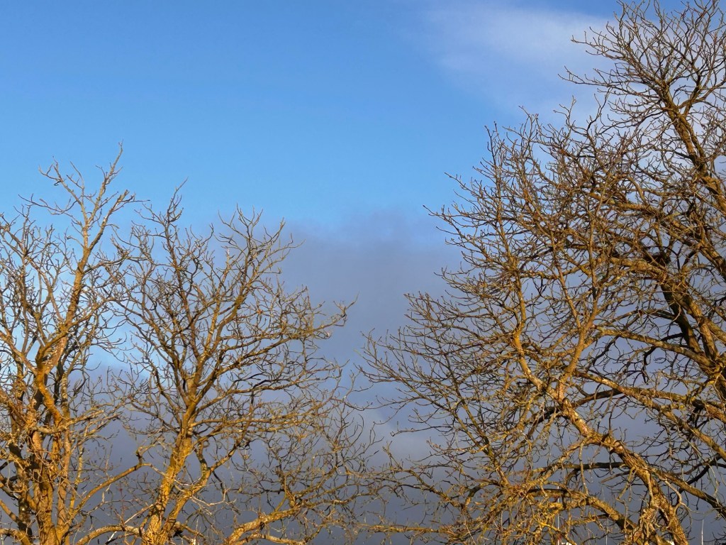 Internationale Tag der Menschen mit&nbsp;Behinderungen