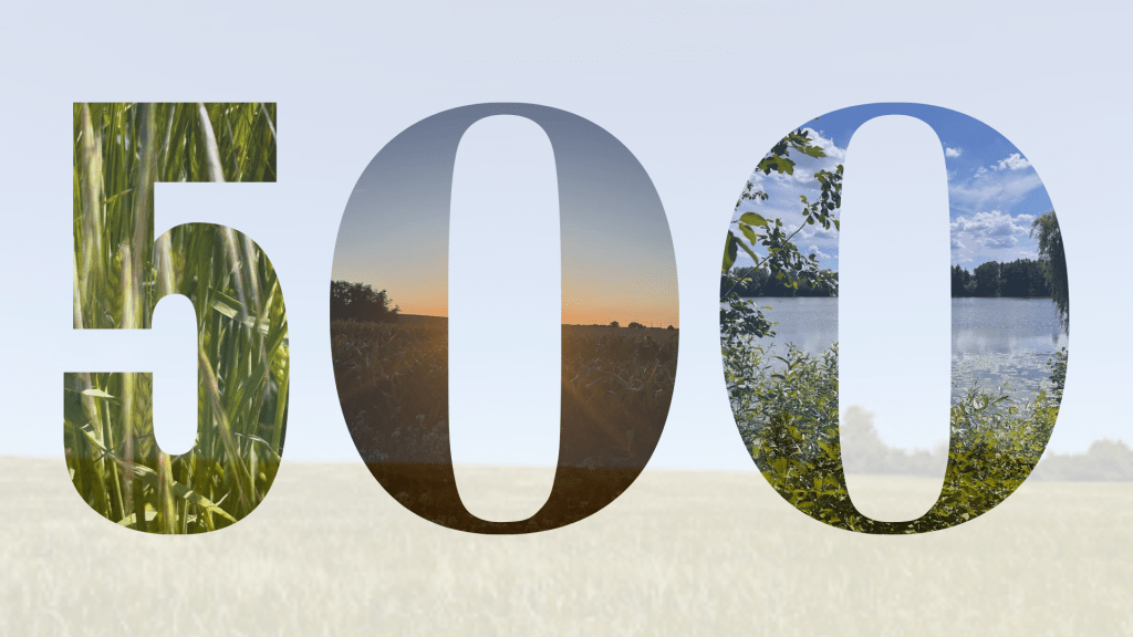 500 Artikel: 500 Herzschläge – 500 Schritte ins echte&nbsp;Leben