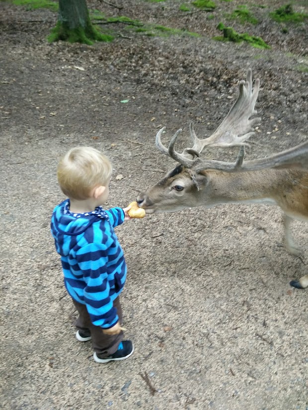 ADHS und Teilen wirkt – Worte als Brücke in die&nbsp;Welt