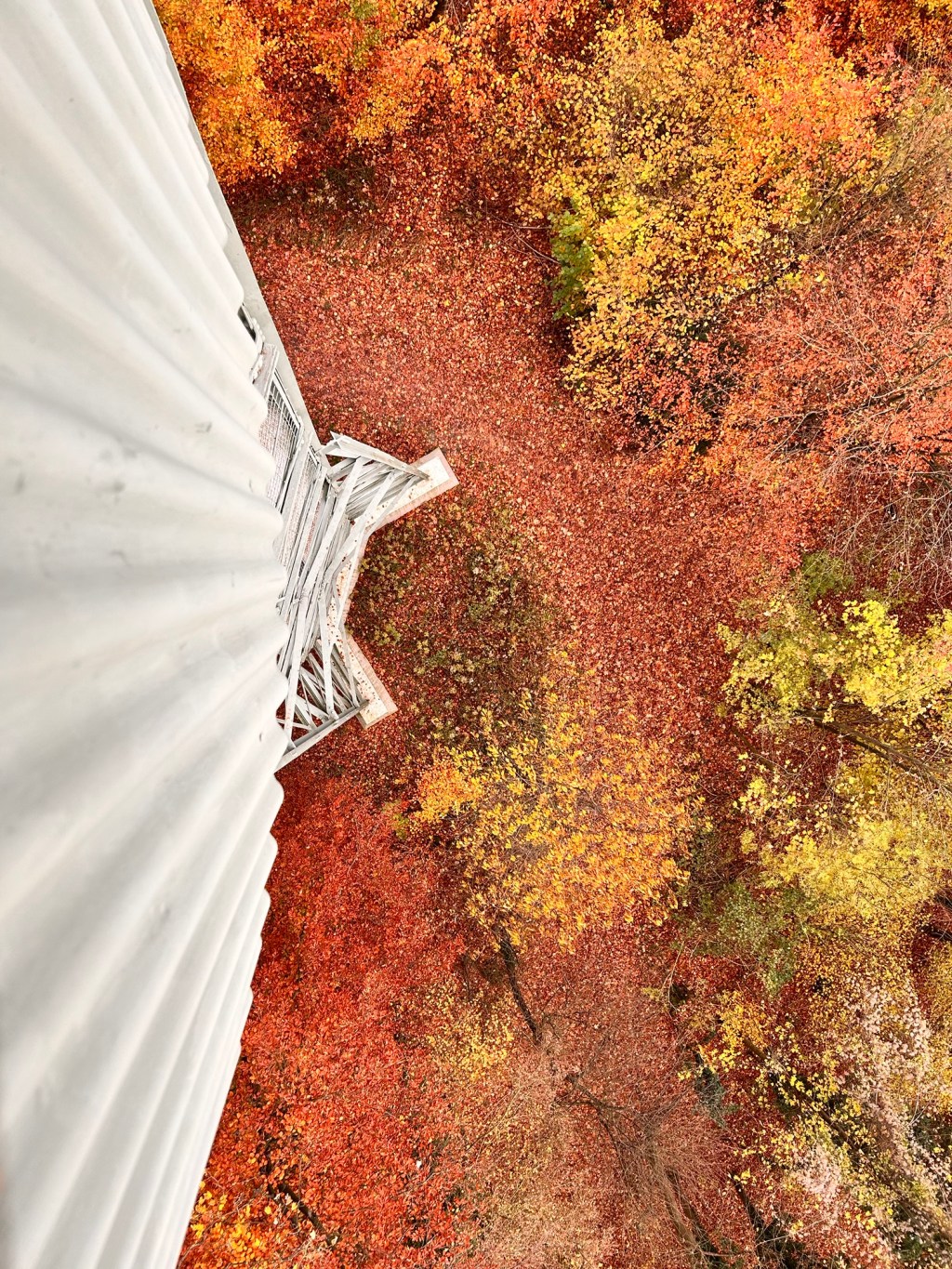 ADHS und Trauma – warum ungenaue Aussagen in Fortbildungen Betroffene gefährden