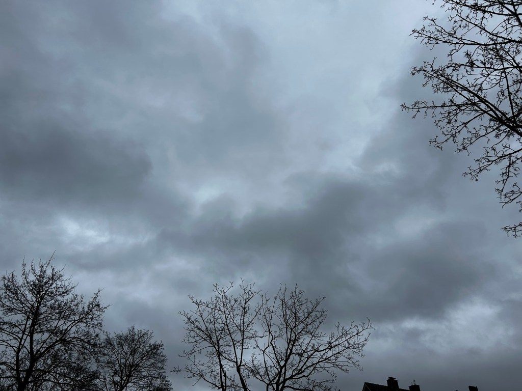 12 von 12 im Februar 2026: Bewegung und&nbsp;Selbstgemachtes